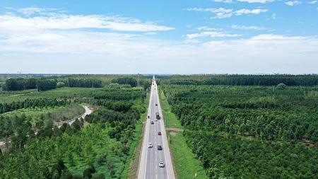 只此青綠，中國(guó)“雙碳”雄心背后的山河夢(mèng) 