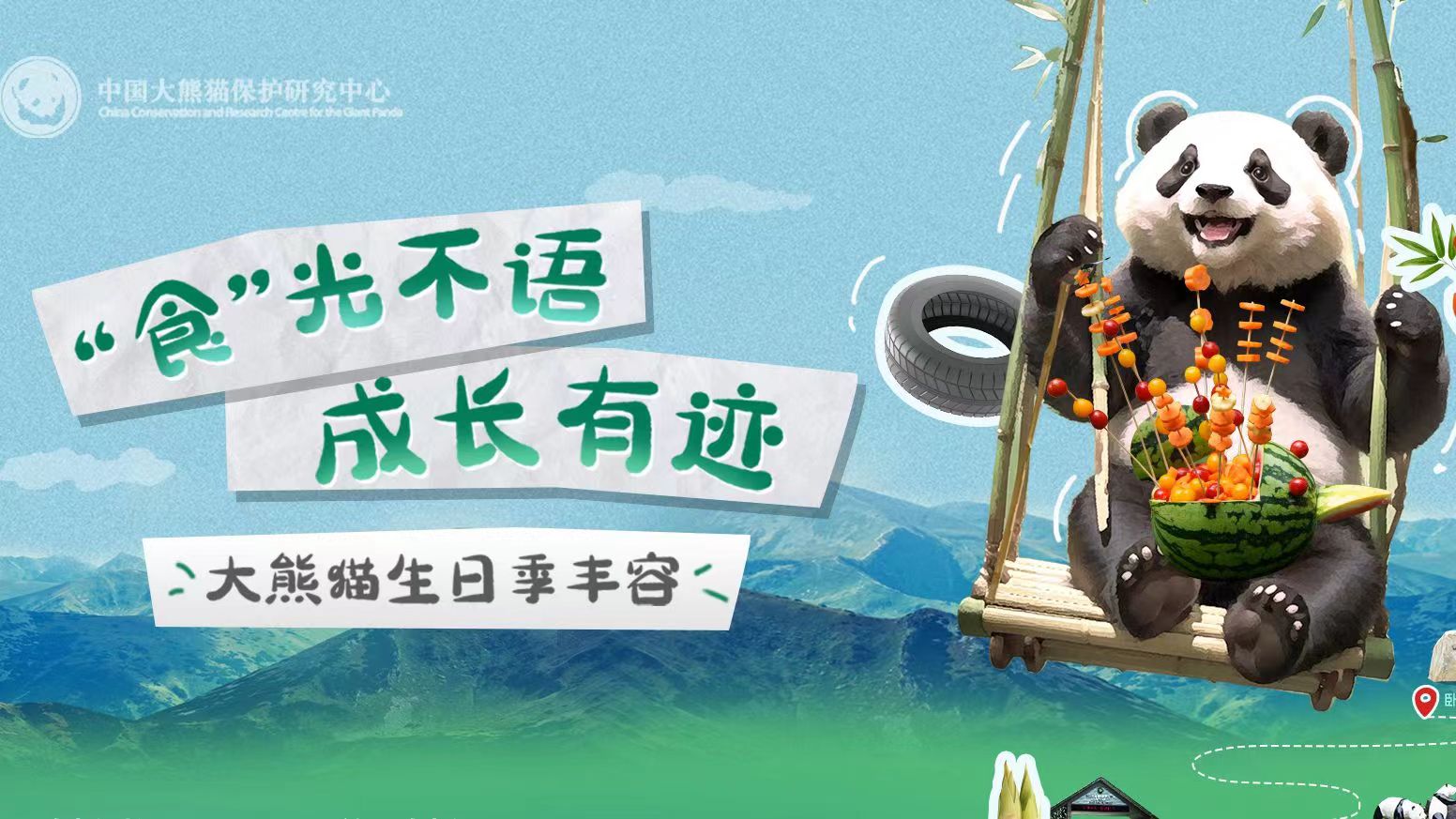  大熊貓也過(guò)中秋節(jié)？一起來(lái)看國(guó)寶的中秋禮物 