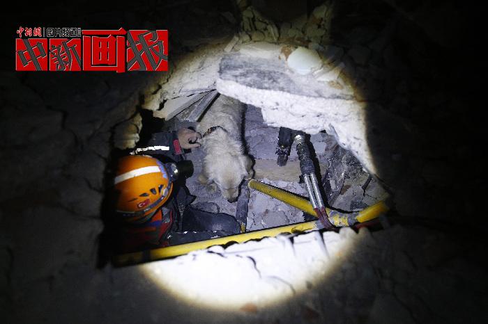 汪汪隊(duì)立大功！廢墟中尋找生命之光的搜救犬